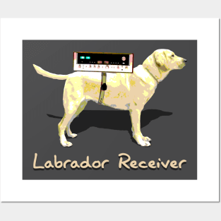 Labrador Receiver Posters and Art